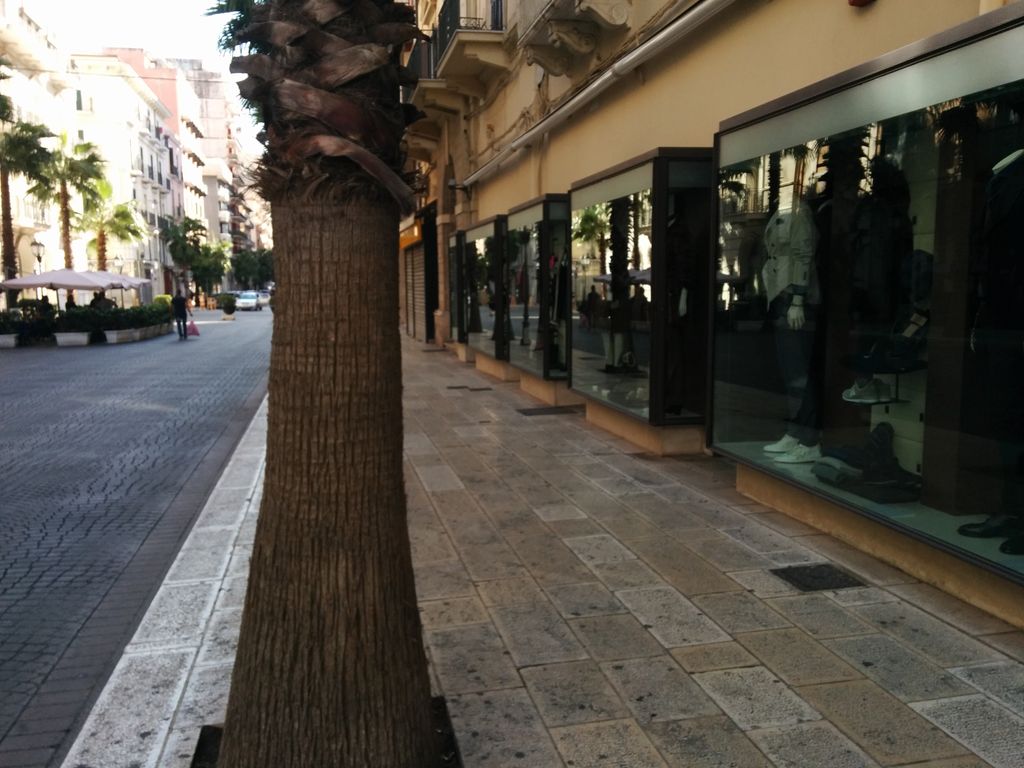 Via Appia. Regina Viarum
